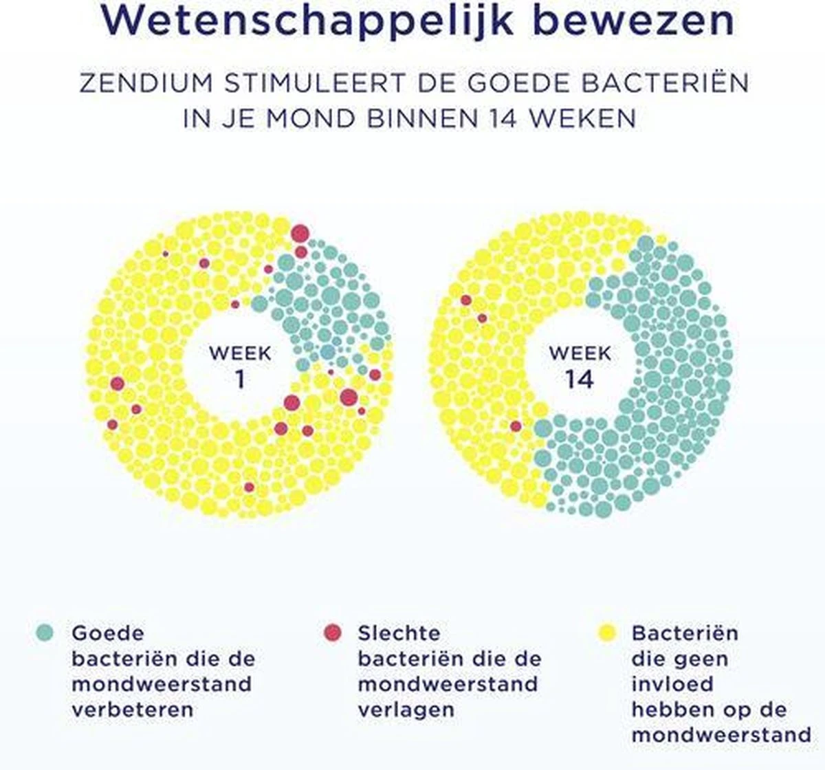 Zendium Tandvlees Protect Tandpasta - 12 X 75 Ml - Voordeelverpakking 11 Zendium Tandvlees Protect Tandpasta - 12 X 75 Ml - Voordeelverpakking - Afbeelding 9
