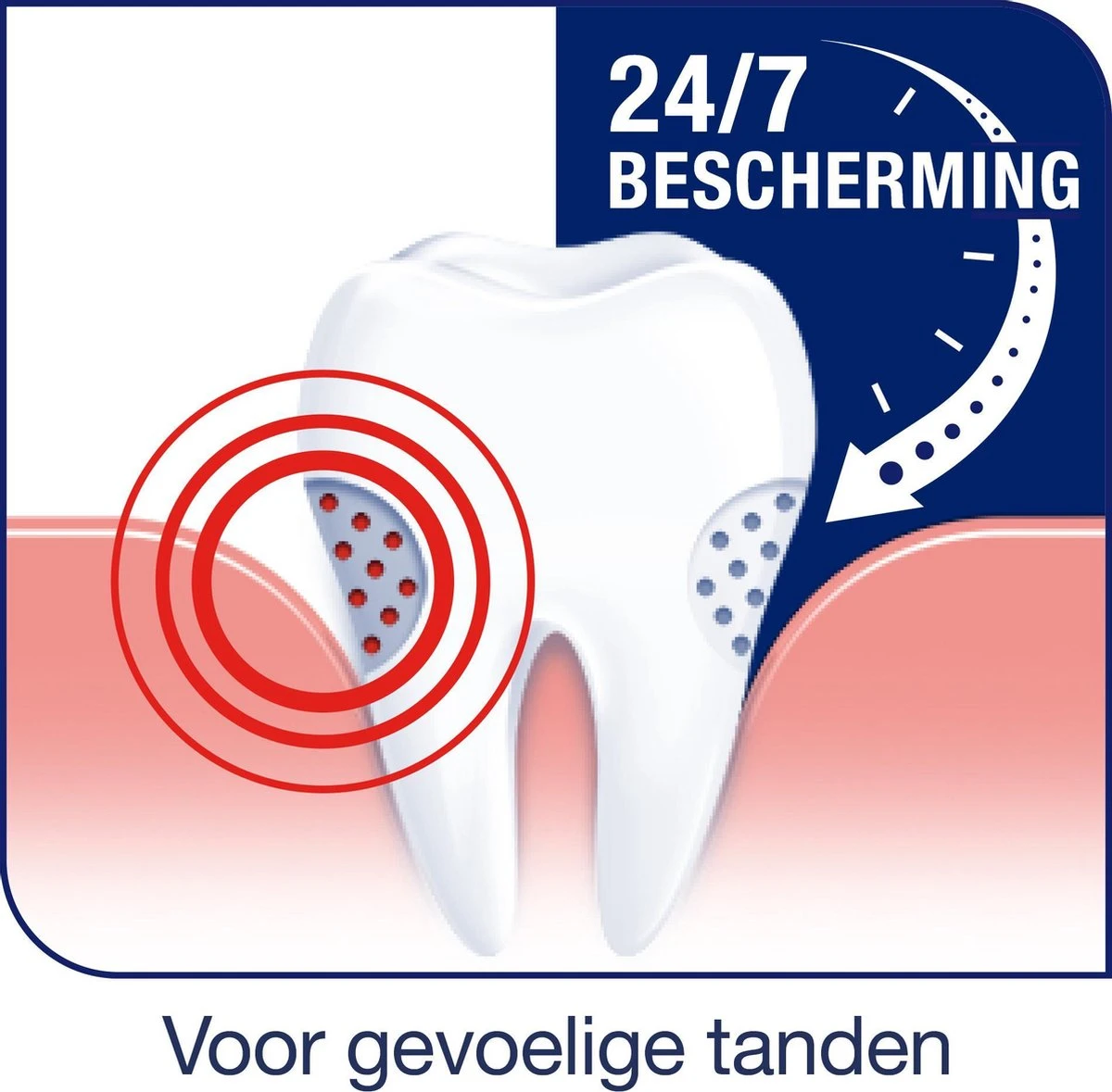 Sensodyne Extra Fresh Gel Tandpasta Voor Gevoelige Tanden 4 X 75 ML 4 Sensodyne Extra Fresh Gel Tandpasta Voor Gevoelige Tanden 4 X 75 ML - Afbeelding 2