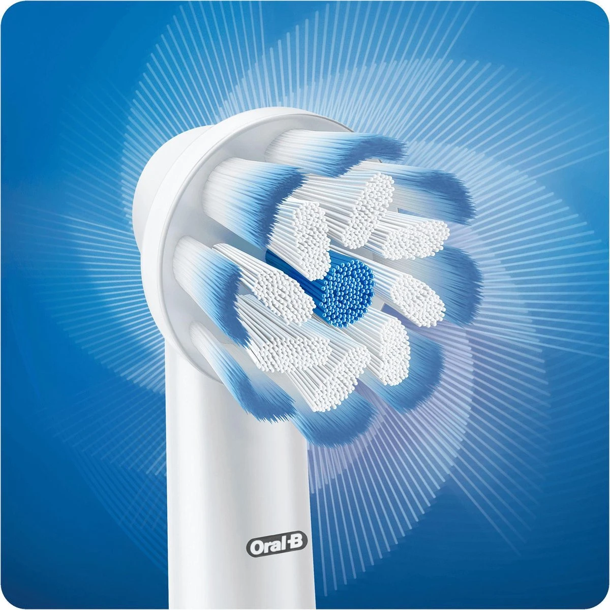 Oral B Oral-B Sensi UltraThin Opzetborstels - 4 Stuks 5 Oral B Oral-B Sensi UltraThin Opzetborstels - 4 Stuks - Afbeelding 3