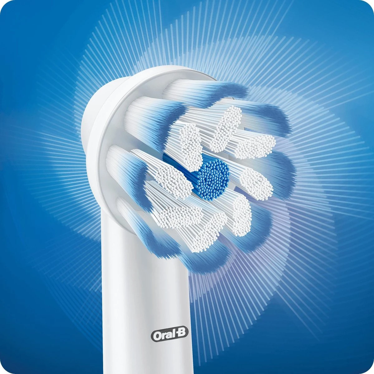 Oral B Oral-B Sensi UltraThin Opzetborstels - 4 Stuks 8 Oral B Oral-B Sensi UltraThin Opzetborstels - 4 Stuks - Afbeelding 6