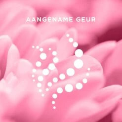 Veet Ontharingsstrips - Gezicht - Hypoallergene Minima - 20 Stuks 15 Veet Ontharingsstrips - Gezicht - Hypoallergene Minima - 20 Stuks -BaByliss Verkoopwinkel 1200x1200 1597