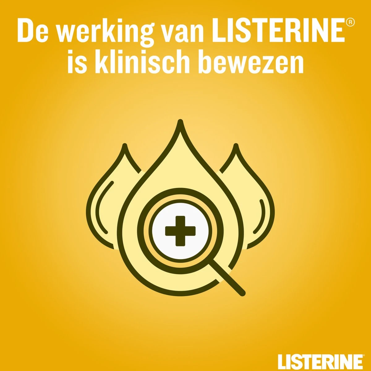 LISTERINE Fresh Ginger & Lime Mondwater, Met Gember- En Limoenextract, Mondspoeling Zonder Alcohol, Voor Een Frisse Adem, 3 X 500 Ml - Afbeelding 5