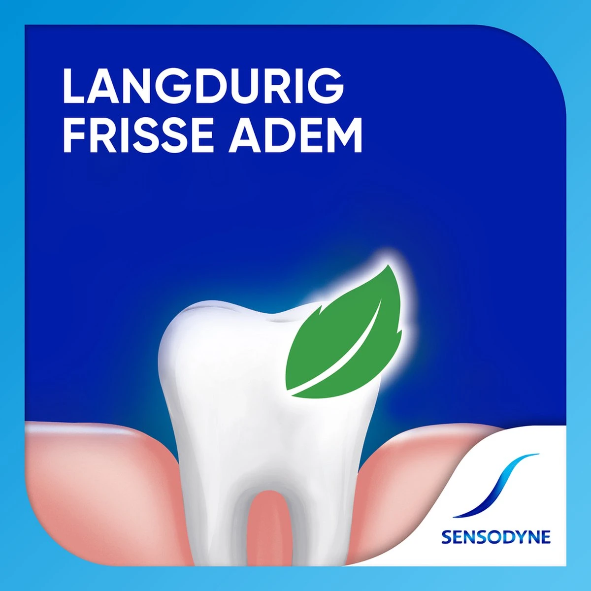 Sensodyne Freshmint Tandpasta Voor Gevoelige Tanden 4x75ml - Afbeelding 4