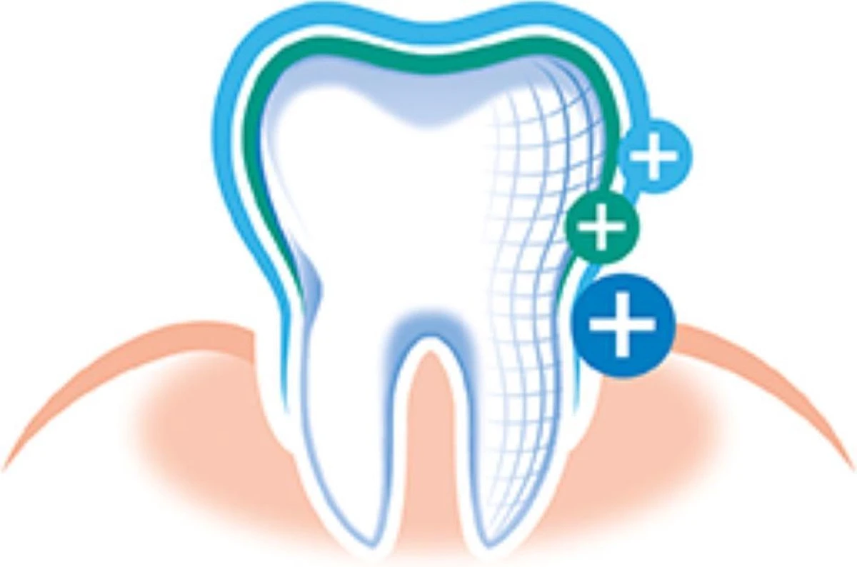 Elmex Tandpasta Sensitive 12 X 75ml - Voordeelverpakking - Afbeelding 3