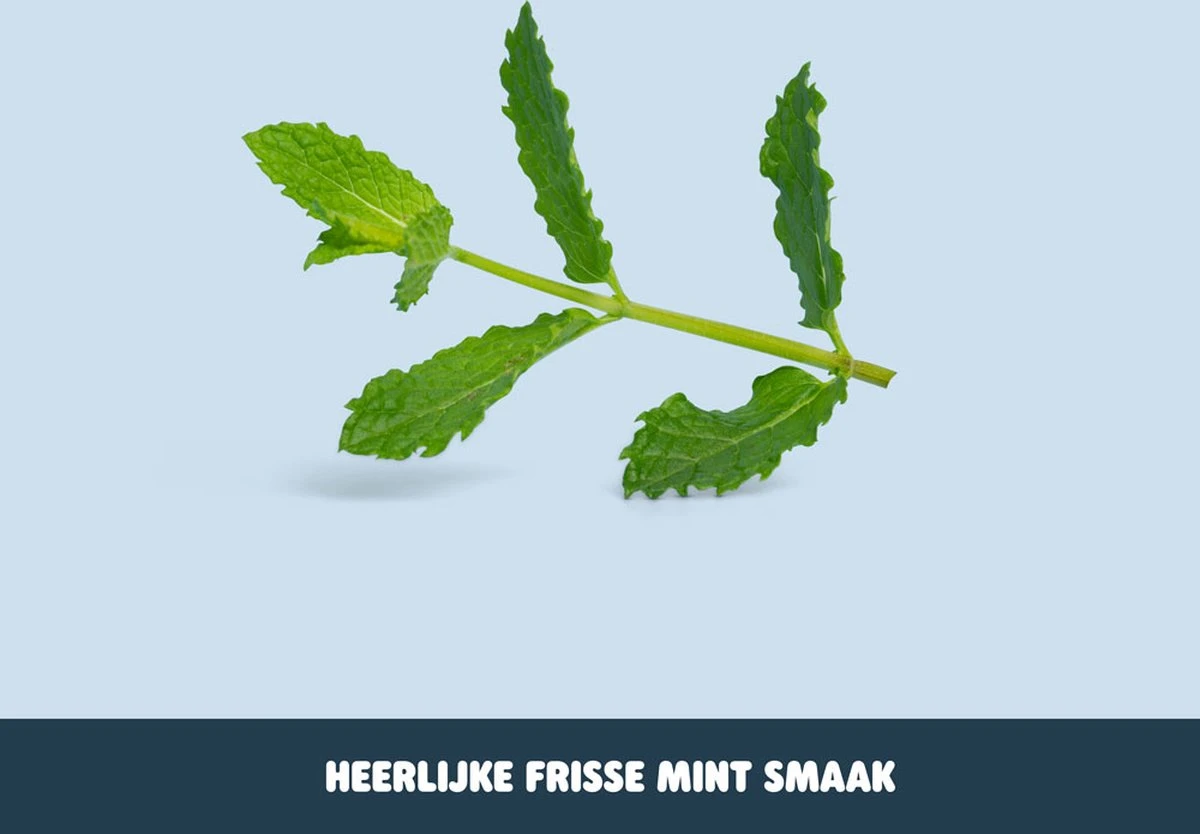 Smyle - Tandpasta Tabletten - Navulling - Met Fluoride - Tandpasta Tabs - 250 Stuk(s) - Plastic-vrij - Afbeelding 2